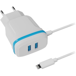 Сетевое зарядное устройство универсальное Ritmix RM-2082L