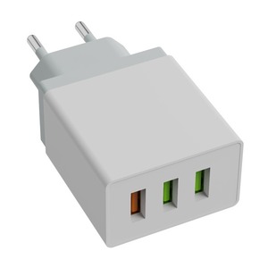 Сетевое зарядное устройство универсальное Ritmix RM-3033QC