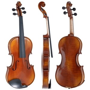 Скрипка Gewa Violin Maestro 1 VL3