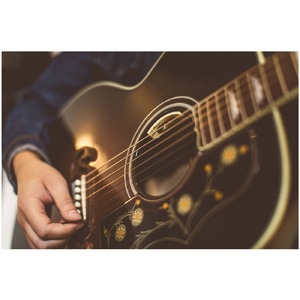 Звукосниматель LR Baggs Anthem SL