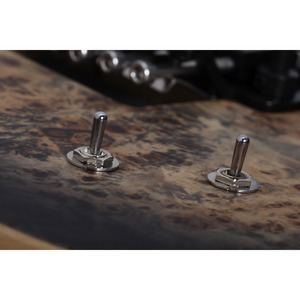 Электрогитара SCHECTER Reaper-6 FR-S SCB