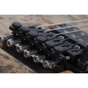 Электрогитара SCHECTER Reaper-6 FR-S SCB