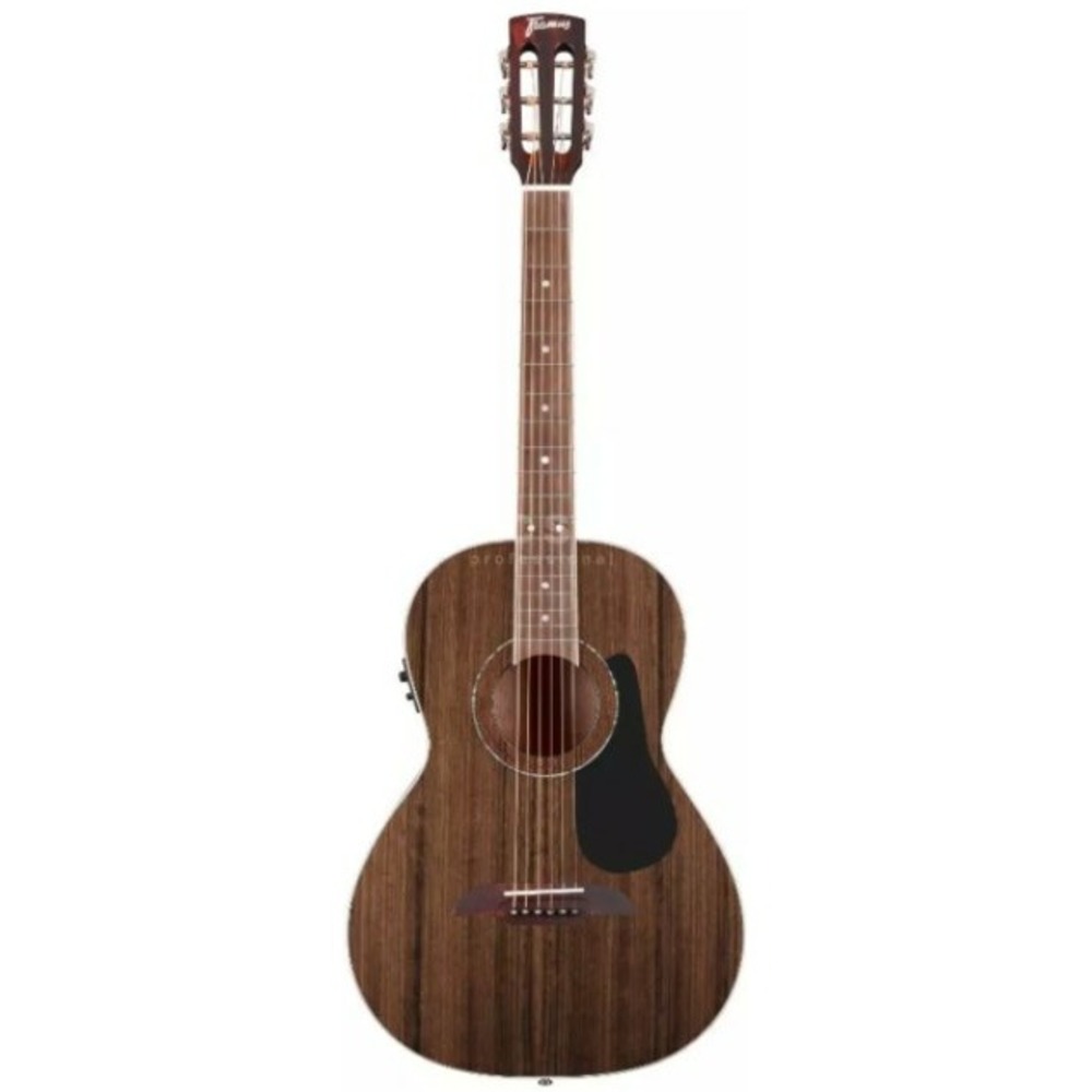 Акустическая гитара FRAMUS FP 14 ME NS