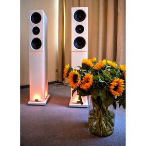 Напольная акустика Audio Physic CLASSIC 10 Glass White high gloss LED
