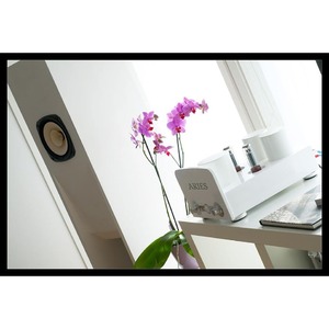 Интегральный усилитель Trafomatic Audio Aries white w/o RC