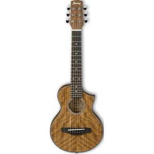 Акустическая гитара IBANEZ EWP14WB-OPN