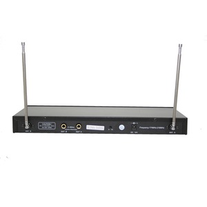 Радиосистема на два микрофона Invotone WM220H