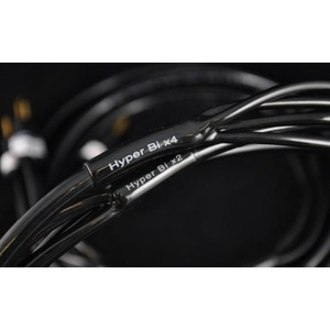 Акустический кабель Single-Wire Banana - Banana Atlas Cables Hyper Bi-Wire (4 to 4) 7.0m Transpose Z plug Gold