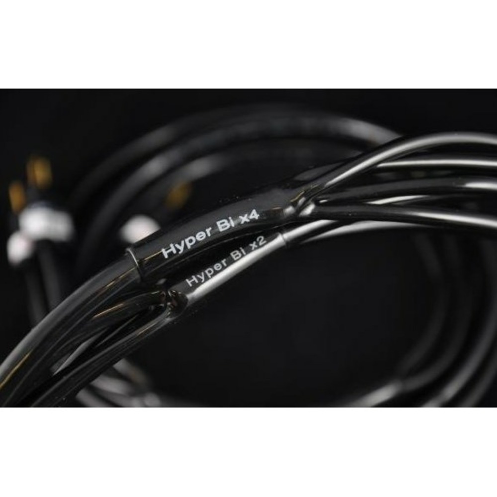 Акустический кабель Single-Wire Banana - Banana Atlas Cables Hyper Bi-Wire 4 to 4 2.0m Transpose Z plug Gold