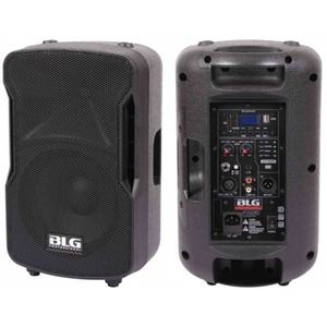 Активная акустическая система BLG BP13-08A10