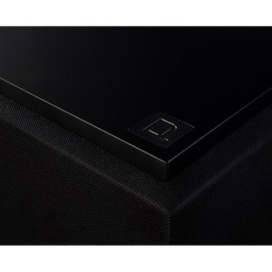 Сабвуфер закрытого типа Definitive Technology DN12 DESCEND POWERED SUB Black