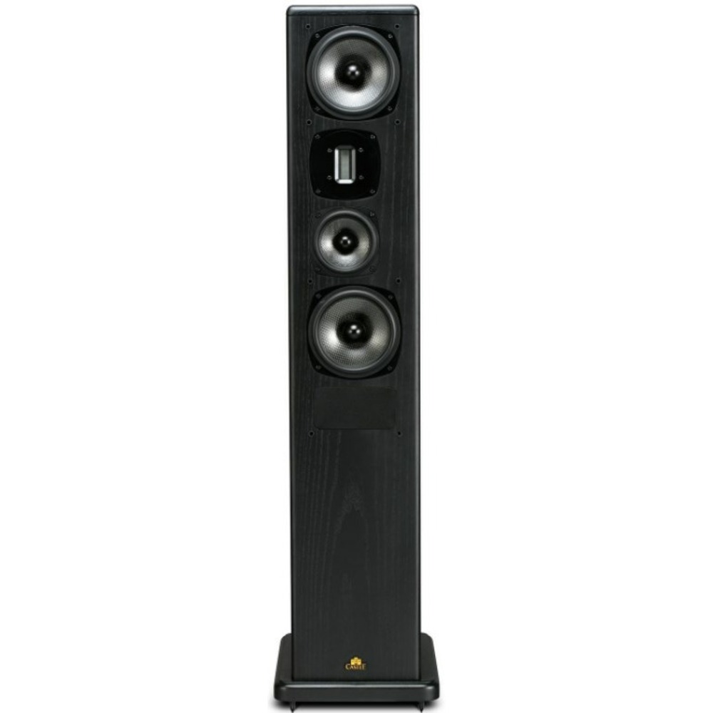 Напольная акустика Castle Acoustics Avon 5 Black Oak