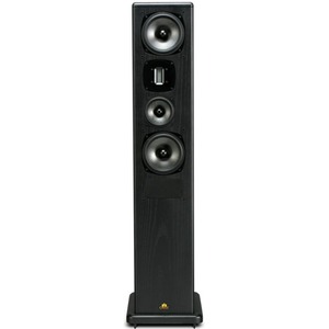 Напольная акустика Castle Acoustics Avon 5 Black Oak