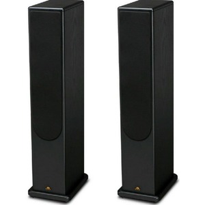 Напольная акустика Castle Acoustics Avon 5 Black Oak