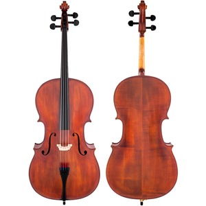 Виолончель Scherl & Roth SR55E4H