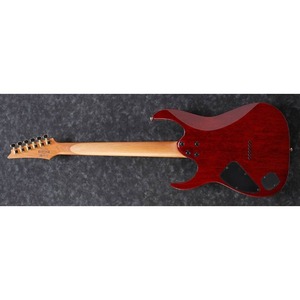 Электрогитара IBANEZ RG421HPAH-BWB