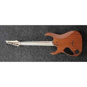 Электрогитара IBANEZ RGR5221-TFR
