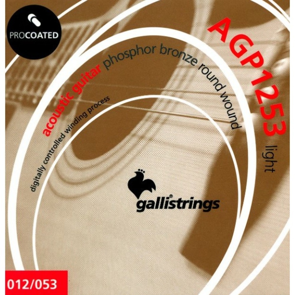 Струны для акустической гитары Galli Strings AGP1253