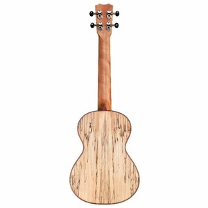 Укулеле CORDOBA 24T Spruce