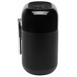 Портативная акустика JBL JBLTUNERXLFMBLKRU
