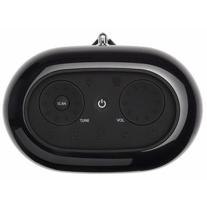 Портативная акустика JBL JBLTUNERXLFMBLKRU