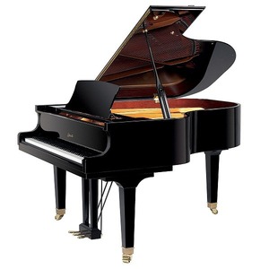 Рояль акустический RITMULLER GP170R1 A111