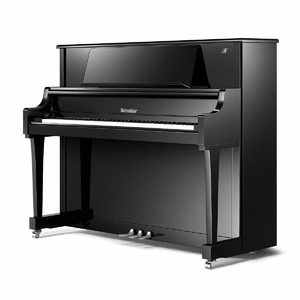 Пианино акустическое RITMULLER RSH119 A111