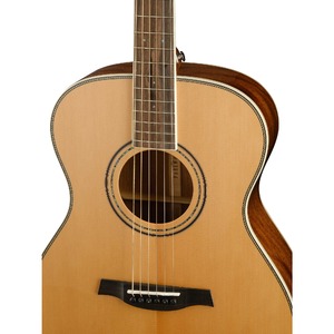 Акустическая гитара Parkwood P620-WCASE-NAT