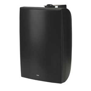 Акустика всепогодная трансляционная Tannoy DVS 6t Black