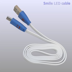 Кабель USB 2.0 Тип A - B micro Pro Legend PL1328 1.0m