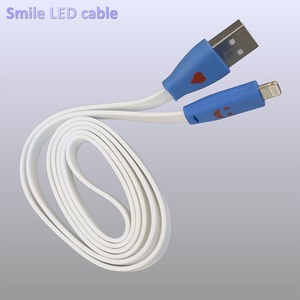 Кабель USB 2.0 Тип A - Lightning Pro Legend PL1367 1.0m