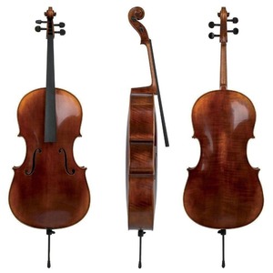 Виолончель Gewa Cello Maestro 6 Виолончель 3/4