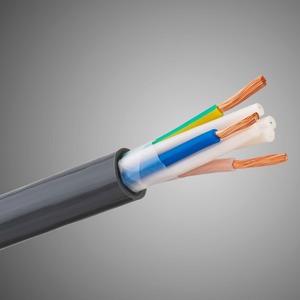 Отрезок силового кабеля Tchernov Cable (арт. 7281) Special 2.5 AC Power 0.42m
