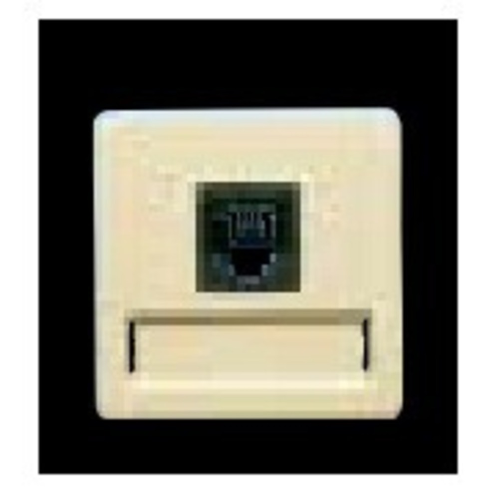 Розетка RJ 45 и телефон Fede Мех Розетка компьютерная 1-я RJ45 2 мод (FD17095-A)