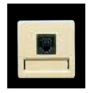 Розетка RJ 45 и телефон Fede Мех Розетка компьютерная 1-я RJ45 2 мод (FD17095-A)