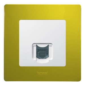 Розетка RJ 45 и телефон Legrand 672253 Etika