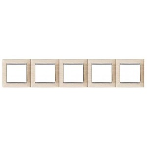 Рамка 5 постов Legrand 770385 Valena