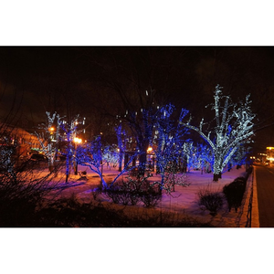 Белт-лайт Neon-Night Контроллер Belt-Light 332-111