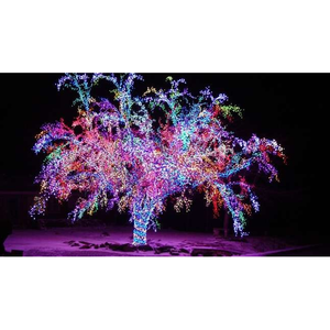 Белт-лайт Neon-Night Контроллер Belt-Light 332-111