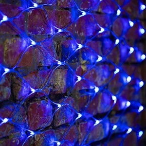 Гирлянда "Сеть" Neon-Night 215-043 2х1,5м, свечение с динамикой, прозрачный ПВХ, 288 LED, 230 В, цвет Синий