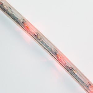 Дюралайт Neon-Night 121-122-4 LED, постоянное свечение (2W) - красный Эконом 24 LED/м, бухта 100м
