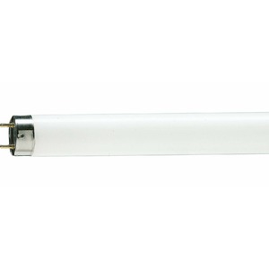 Лампа Philips TL-D G13 36W/54-765 SLV 872790081584900