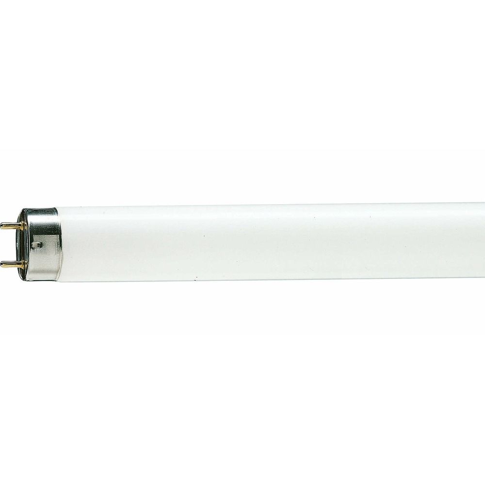 Лампа Philips TL-D G13 58W/54-765 SLV 872790081590000