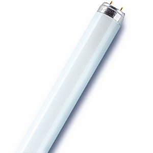 Лампа OSRAM Basic G13 36W/640
