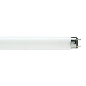Лампа General Electric OT F36W/T8/33 Брест 63984