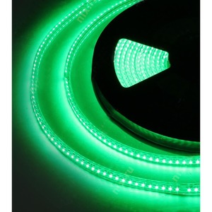 Лента светодиодная ЭРА 3528-220-60LED-IP67-G-10m