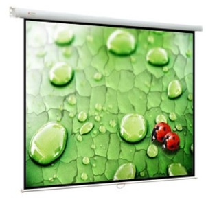 Экран для проектора ViewScreen Lotus 16:10 305х305 297х186 MW