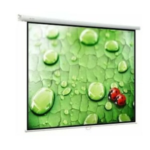 Экран для проектора ViewScreen Lotus 16:10 305х305 297х186 MW