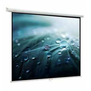 Экран для проектора ViewScreen Lotus 4:3 171х128 165х122 MW
