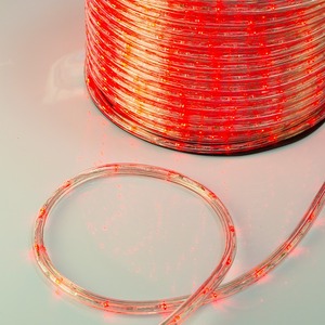 Дюралайт LED, свечение с динамикой (3W) Neon-Night 121-322-4 красный, 24 LED/м, бухта 100м